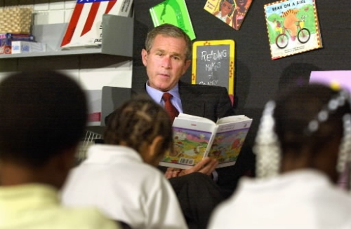 bush pet goat